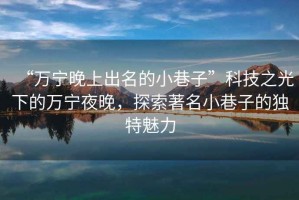 “萬寧晚上出名的小巷子”科技之光下的萬寧夜晚，探索著名小巷子的獨特魅力
