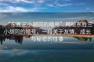 “東勝三小胡同的暗號(hào)”揭秘東勝三小胡同的暗號(hào)，一段關(guān)于友情、成長(zhǎng)與秘密的往事