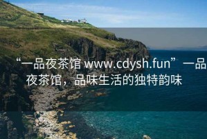 “一品夜茶館 www.cdysh.fun”一品夜茶館，品味生活的獨特韻味