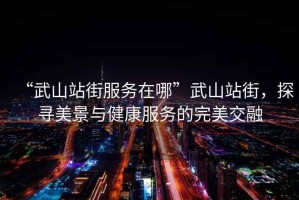 “武山站街服務(wù)在哪”武山站街，探尋美景與健康服務(wù)的完美交融