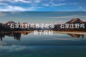 “石家莊野雞巷子在哪”石家莊野雞巷子探秘