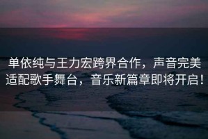 單依純與王力宏跨界合作，聲音完美適配歌手舞臺，音樂新篇章即將開啟！