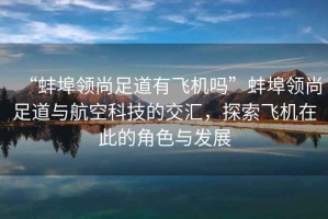 “蚌埠領(lǐng)尚足道有飛機(jī)嗎”蚌埠領(lǐng)尚足道與航空科技的交匯，探索飛機(jī)在此的角色與發(fā)展