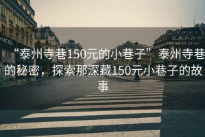 “泰州寺巷150元的小巷子”泰州寺巷的秘密，探索那深藏150元小巷子的故事