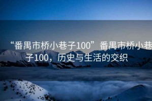 “番禺市橋小巷子100”番禺市橋小巷子100，歷史與生活的交織