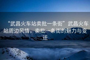 “武昌火車站賣批一條街”武昌火車站周邊風(fēng)情，賣批一條街的魅力與變遷