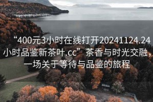 “400元3小時在線打開20241124.24小時品鑒新茶葉.cc”茶香與時光交融，一場關(guān)于等待與品鑒的旅程