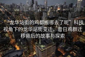 “龍華站街的雞都搬哪去了呢”科技視角下的龍華站街變遷，昔日雞群遷移背后的故事與探索