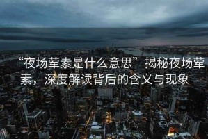 “夜場(chǎng)葷素是什么意思”揭秘夜場(chǎng)葷素，深度解讀背后的含義與現(xiàn)象