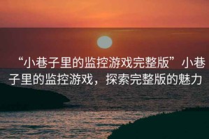 “小巷子里的監(jiān)控游戲完整版”小巷子里的監(jiān)控游戲，探索完整版的魅力