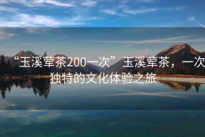 “玉溪葷茶200一次”玉溪葷茶，一次獨特的文化體驗之旅