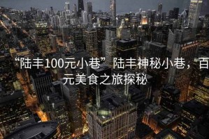 “陸豐100元小巷”陸豐神秘小巷，百元美食之旅探秘