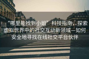 “哪里能找到小姐”科技指南，探索虛擬世界中的社交互動(dòng)新領(lǐng)域—如何安全地尋找在線社交平臺(tái)伙伴