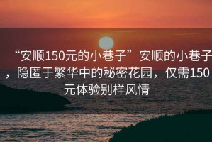 “安順150元的小巷子”安順的小巷子，隱匿于繁華中的秘密花園，僅需150元體驗(yàn)別樣風(fēng)情