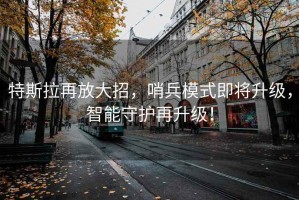 特斯拉再放大招，哨兵模式即將升級(jí)，智能守護(hù)再升級(jí)！