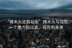 “樟木頭還有站街”樟木頭與站街，一個(gè)地方的過(guò)去、現(xiàn)在和未來(lái)