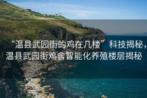 “溫縣武園街的雞在幾樓”科技揭秘，溫縣武園街雞舍智能化養(yǎng)殖樓層揭秘
