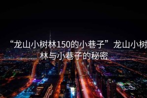 “龍山小樹(shù)林150的小巷子”龍山小樹(shù)林與小巷子的秘密