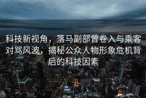 科技新視角，落馬副部曾卷入與乘客對罵風波，揭秘公眾人物形象危機背后的科技因素