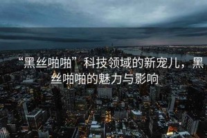 “黑絲啪啪”科技領(lǐng)域的新寵兒，黑絲啪啪的魅力與影響