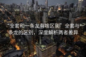 “全套和一條龍有啥區(qū)別”全套與一條龍的區(qū)別，深度解析兩者差異
