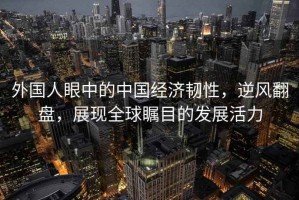 外國(guó)人眼中的中國(guó)經(jīng)濟(jì)韌性，逆風(fēng)翻盤(pán)，展現(xiàn)全球矚目的發(fā)展活力