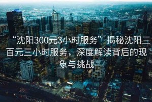 “沈陽300元3小時服務”揭秘沈陽三百元三小時服務，深度解讀背后的現(xiàn)象與挑戰(zhàn)