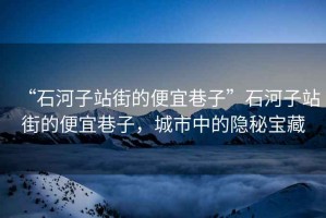 “石河子站街的便宜巷子”石河子站街的便宜巷子，城市中的隱秘寶藏