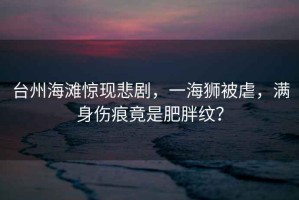 臺(tái)州海灘驚現(xiàn)悲劇，一海獅被虐，滿身傷痕竟是肥胖紋？