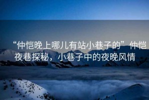 “仲愷晚上哪兒有站小巷子的”仲愷夜巷探秘，小巷子中的夜晚風(fēng)情