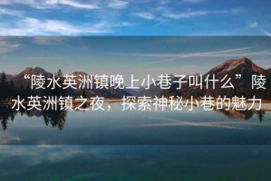 “陵水英洲鎮(zhèn)晚上小巷子叫什么”陵水英洲鎮(zhèn)之夜，探索神秘小巷的魅力