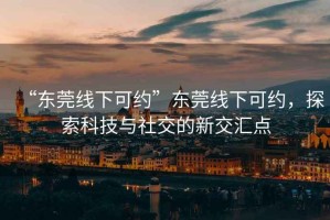 “東莞線下可約”東莞線下可約，探索科技與社交的新交匯點(diǎn)