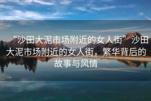 “沙田大泥市場附近的女人街”沙田大泥市場附近的女人街，繁華背后的故事與風(fēng)情