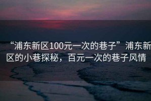 “浦東新區(qū)100元一次的巷子”浦東新區(qū)的小巷探秘，百元一次的巷子風(fēng)情