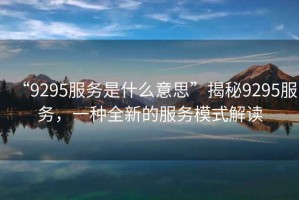 “9295服務(wù)是什么意思”揭秘9295服務(wù)，一種全新的服務(wù)模式解讀