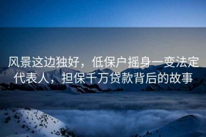 風(fēng)景這邊獨(dú)好，低保戶搖身一變法定代表人，擔(dān)保千萬貸款背后的故事