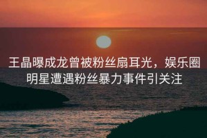王晶曝成龍?jiān)环劢z扇耳光，娛樂圈明星遭遇粉絲暴力事件引關(guān)注