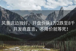 風(fēng)景這邊獨好，開盤價從1萬2跌至8千，開發(fā)商直言，不降價就等死！