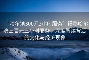 “哈爾濱300元3小時服務(wù)”揭秘哈爾濱三百元三小時服務(wù)，深度解讀背后的文化與經(jīng)濟現(xiàn)象