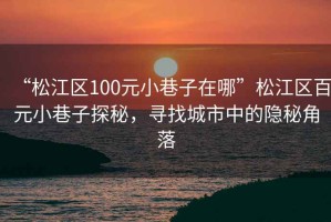 “松江區(qū)100元小巷子在哪”松江區(qū)百元小巷子探秘，尋找城市中的隱秘角落