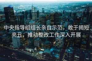 中央指導(dǎo)組組長親自示范，敢于揭短亮丑，推動(dòng)整改工作深入開展