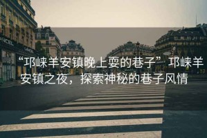 “邛崍羊安鎮(zhèn)晚上耍的巷子”邛崍羊安鎮(zhèn)之夜，探索神秘的巷子風(fēng)情