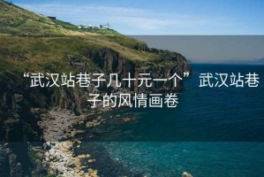 “武漢站巷子幾十元一個”武漢站巷子的風(fēng)情畫卷