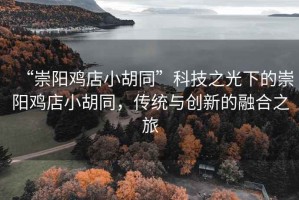 “崇陽雞店小胡同”科技之光下的崇陽雞店小胡同，傳統(tǒng)與創(chuàng)新的融合之旅