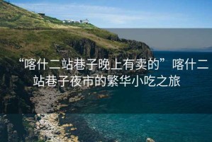 “喀什二站巷子晚上有賣的”喀什二站巷子夜市的繁華小吃之旅