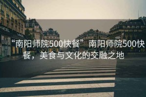 “南陽師院500快餐”南陽師院500快餐，美食與文化的交融之地