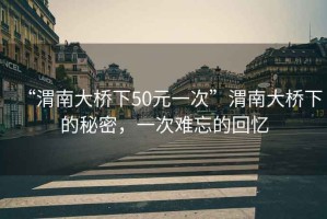 “渭南大橋下50元一次”渭南大橋下的秘密，一次難忘的回憶