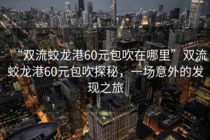 “雙流蛟龍港60元包吹在哪里”雙流蛟龍港60元包吹探秘，一場(chǎng)意外的發(fā)現(xiàn)之旅