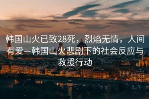 韓國(guó)山火已致28死，烈焰無情，人間有愛—韓國(guó)山火悲劇下的社會(huì)反應(yīng)與救援行動(dòng)