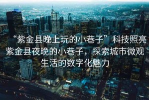 “紫金縣晚上玩的小巷子”科技照亮紫金縣夜晚的小巷子，探索城市微觀生活的數(shù)字化魅力